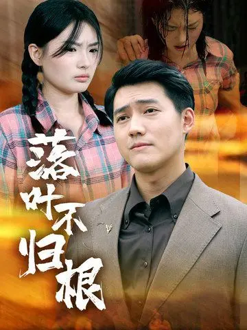 《落叶不归根》：笑泪齐飞的归途，看老赵如何将承诺进行到底！