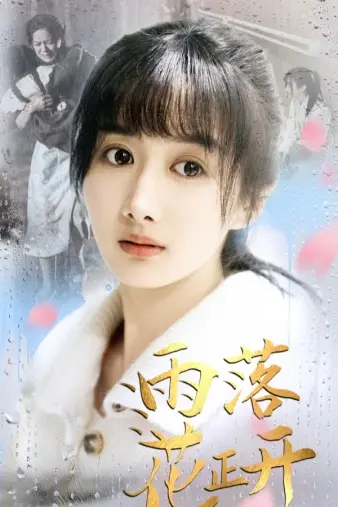 《雨落花正开》：一场关于救赎与重生的唯美虐恋，雨后的花开，是否象征着希望？
