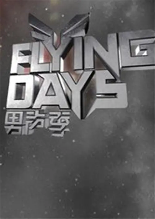 《Flying Days（2010)》：硬核搏击格斗，让你肾上腺素飙升，太燃了！